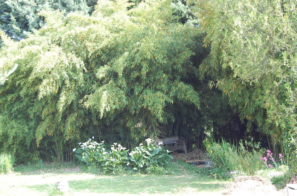 Gite Le Gre Chantemerle-lès-Grignan Exterior photo