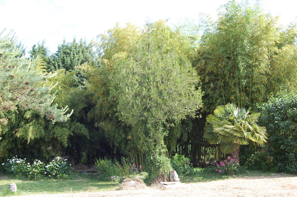 Gite Le Gre Chantemerle-lès-Grignan Exterior photo