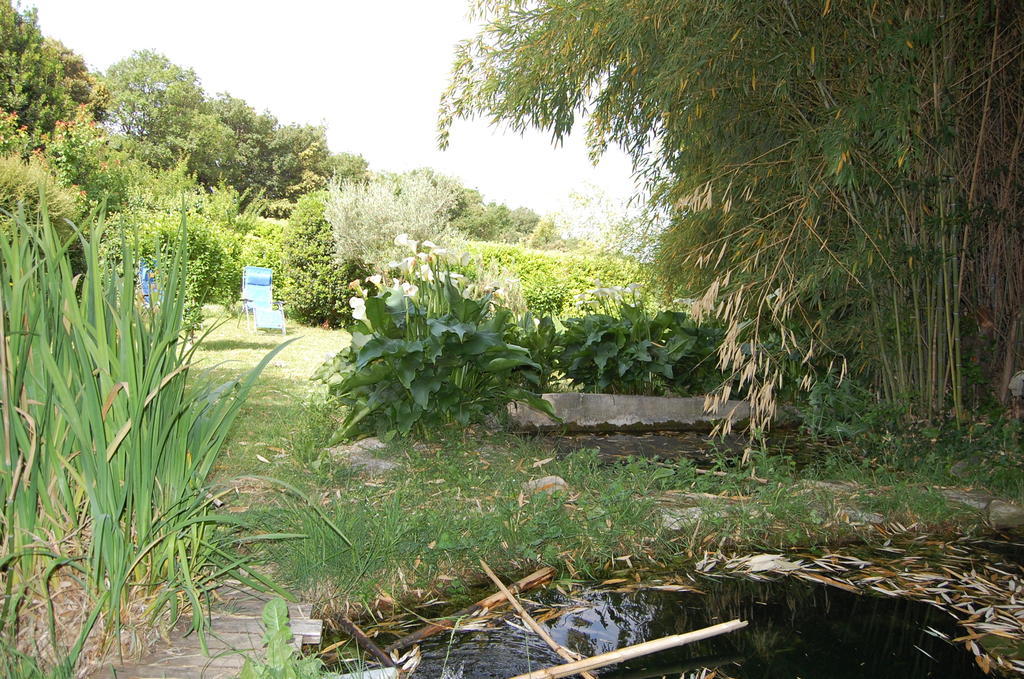 Gite Le Gre Chantemerle-lès-Grignan Exterior photo