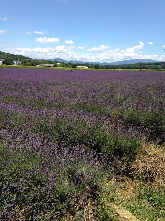 Gite Le Gre Chantemerle-lès-Grignan Exterior photo